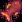 my-epic-quest-to-catch-all-legendary-fish-in-stardew-valley-image-2
